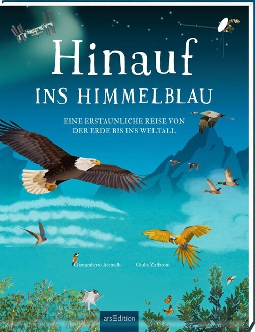 Hinauf ins Himmelblau (Hardcover)