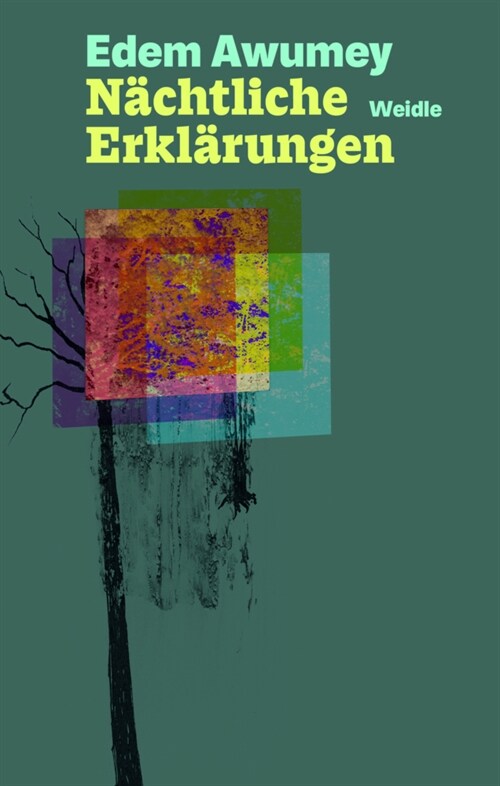 Nachtliche Erklarungen (Paperback)