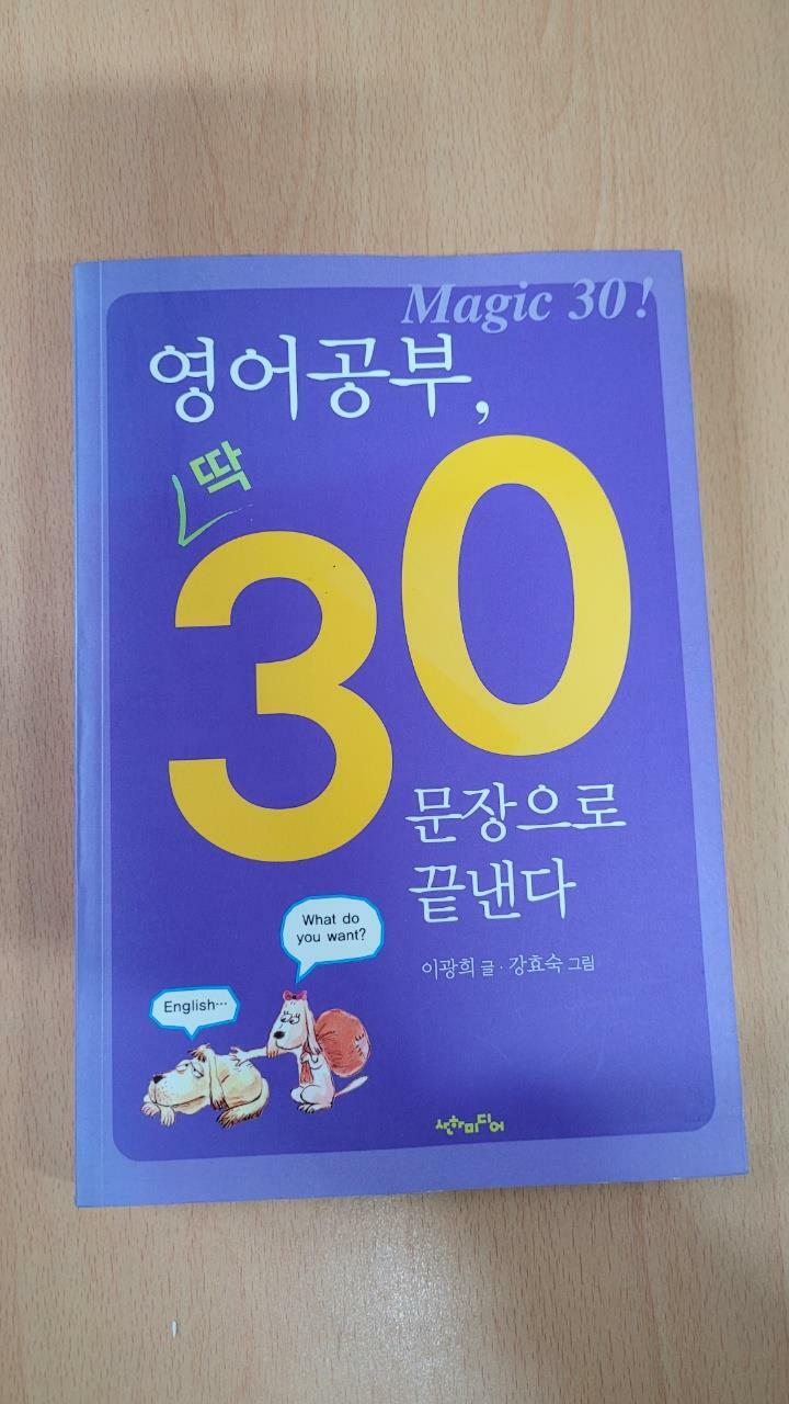 [중고] 영어공부, 딱 30문장으로 끝낸다