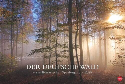 Der deutsche Wald - Ein literarischer Spaziergang Kalender 2025 - Ein literarischer Spaziergang (Calendar)