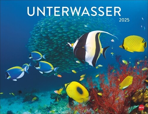 Unterwasser Posterkalender 2025 (Calendar)