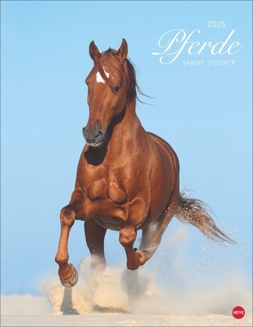 Pferde Classics Posterkalender 2025 (Calendar)