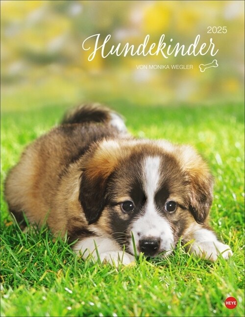 Hundekinder Posterkalender 2025 (Calendar)