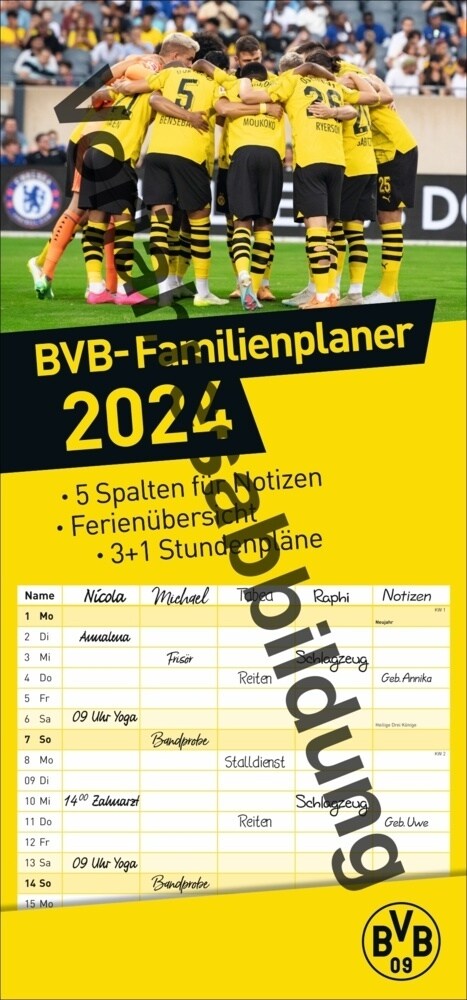 BVB Familienplaner 2025 (Calendar)
