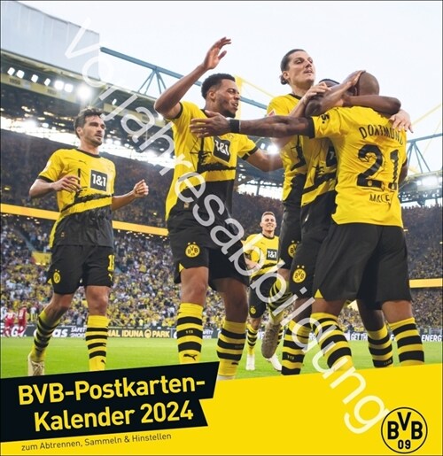 BVB Postkartenkalender 2025 (Calendar)