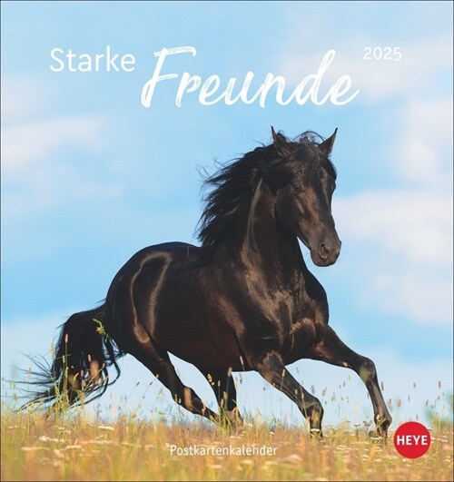 Pferde Postkartenkalender 2025 - Starke Freunde (Calendar)