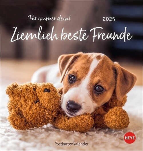 Ziemlich beste Freunde Postkartenkalender 2025 - Fur immer dein (Calendar)