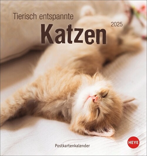 Tierisch entspannte Katzen Postkartenkalender 2025 (Calendar)