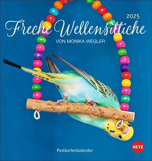 Freche Wellensittiche Postkartenkalender 2025 (Calendar)