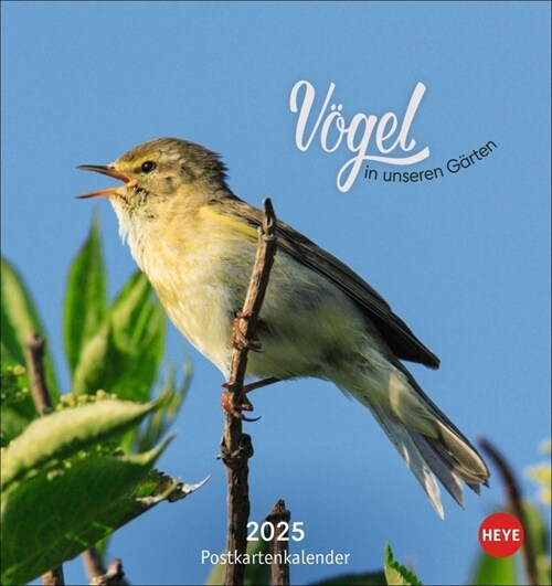 Vogel in unseren Garten Postkartenkalender 2025 (Calendar)