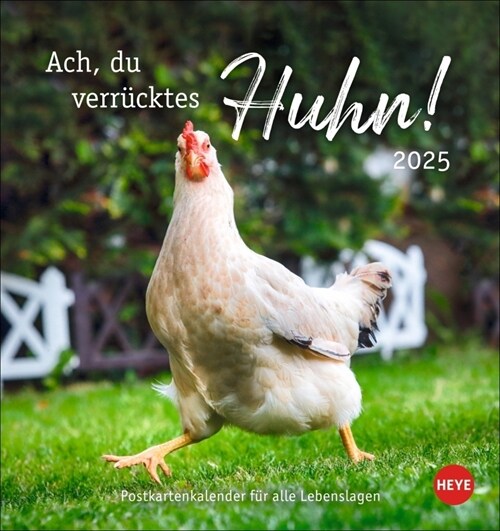 Huhner Postkartenkalender 2025 - Ach, du verrucktes Huhn! (Calendar)