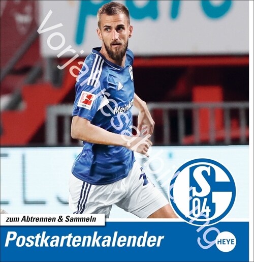 Schalke 04 Postkartenkalender 2025 (Calendar)