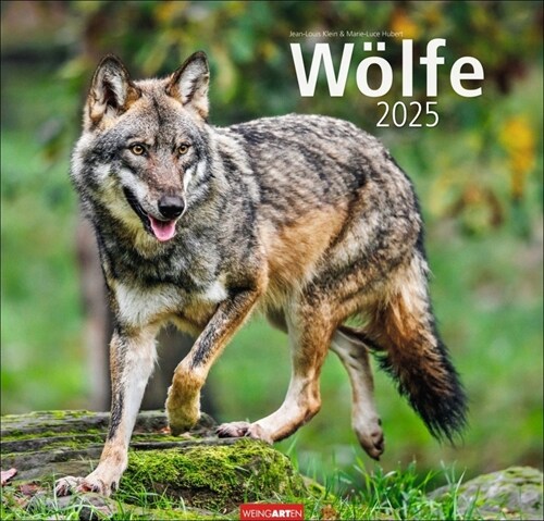 Wolfe Kalender 2025 (Calendar)