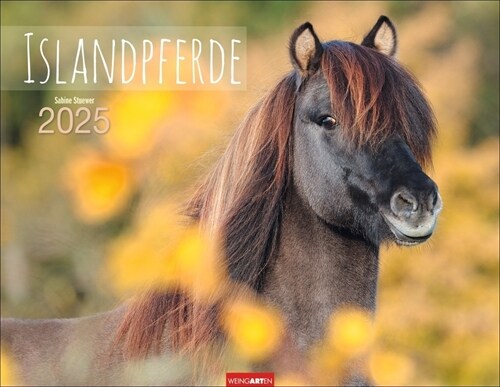 Islandpferde Kalender 2025 (Calendar)