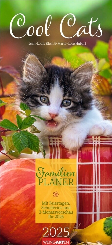 Cool Cats Familienplaner 2025 (Calendar)