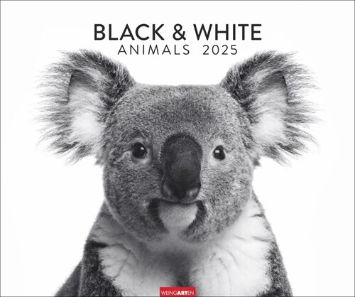 Black & White Animals 2025 (Calendar)