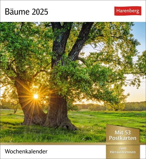 Baume Postkartenkalender 2025 - Wochenkalender mit 53 Postkarten (Calendar)