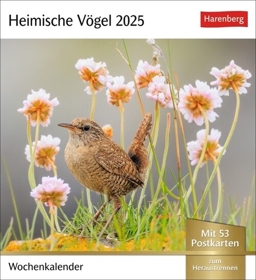 Heimische Vogel Postkartenkalender 2025 - Wochenkalender mit 53 Postkarten (Calendar)