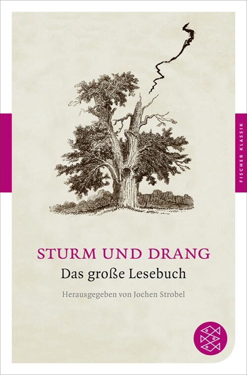 Sturm und Drang (Paperback)