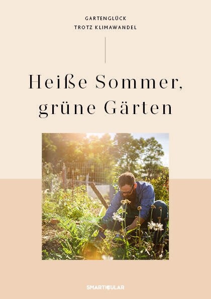 Heiße Sommer, grune Garten (Hardcover)