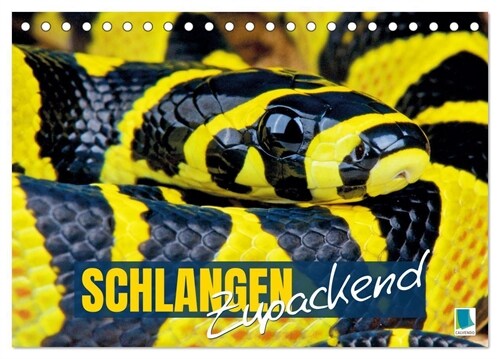 Schlangen: Zupackend (Tischkalender 2025 DIN A5 quer), CALVENDO Monatskalender (Calendar)