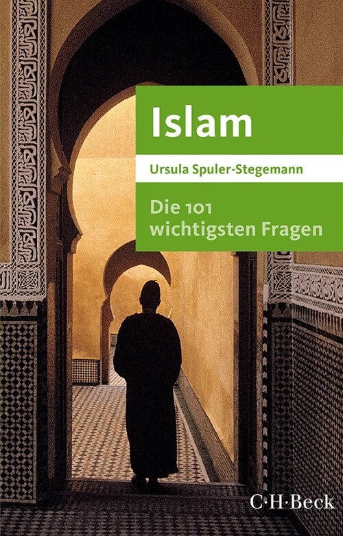 Die 101 wichtigsten Fragen - Islam (Paperback)