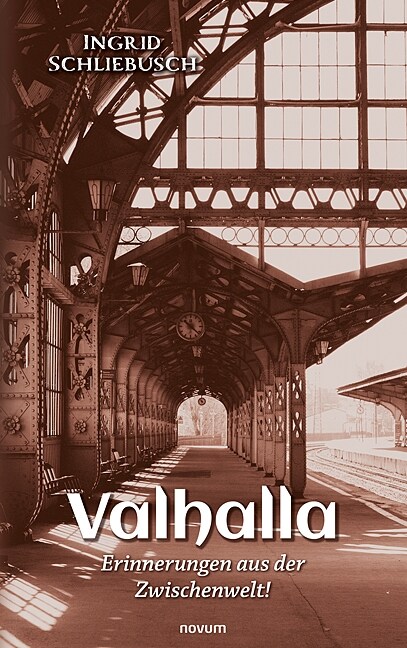 Valhalla - Erinnerungen aus der Zwischenwelt! (Paperback)