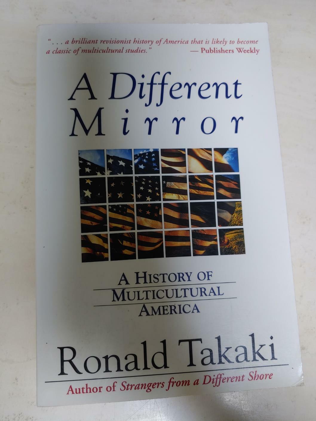 [중고] A Different Mirror (Paperback, Reissue)