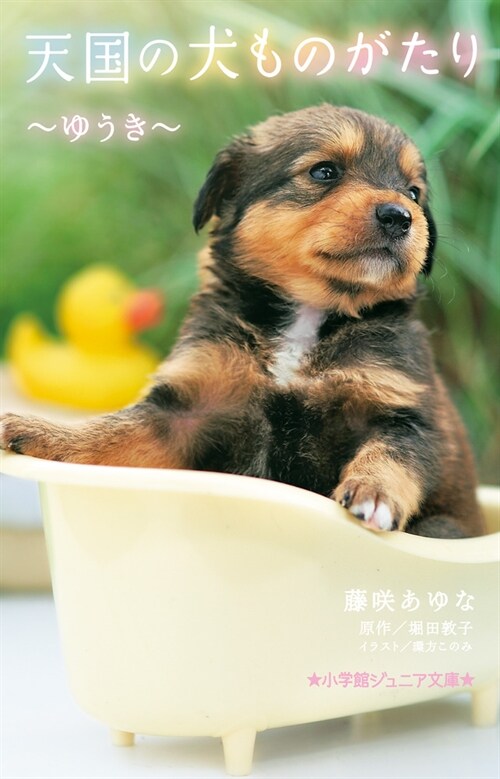 天國の犬ものがたり~ゆうき~