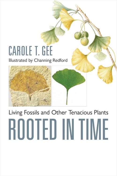 Rooted in Time: Living Fossils and Other Tenacious Plants (Hardcover)