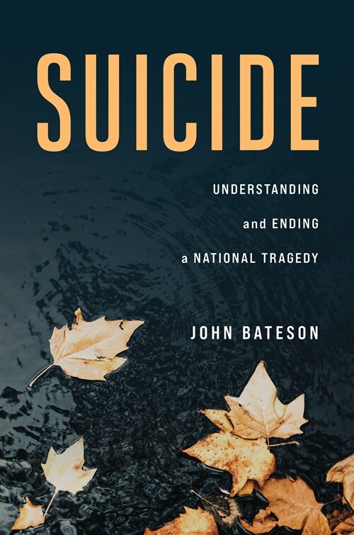 Suicide: Understanding and Ending a National Tragedy (Hardcover)