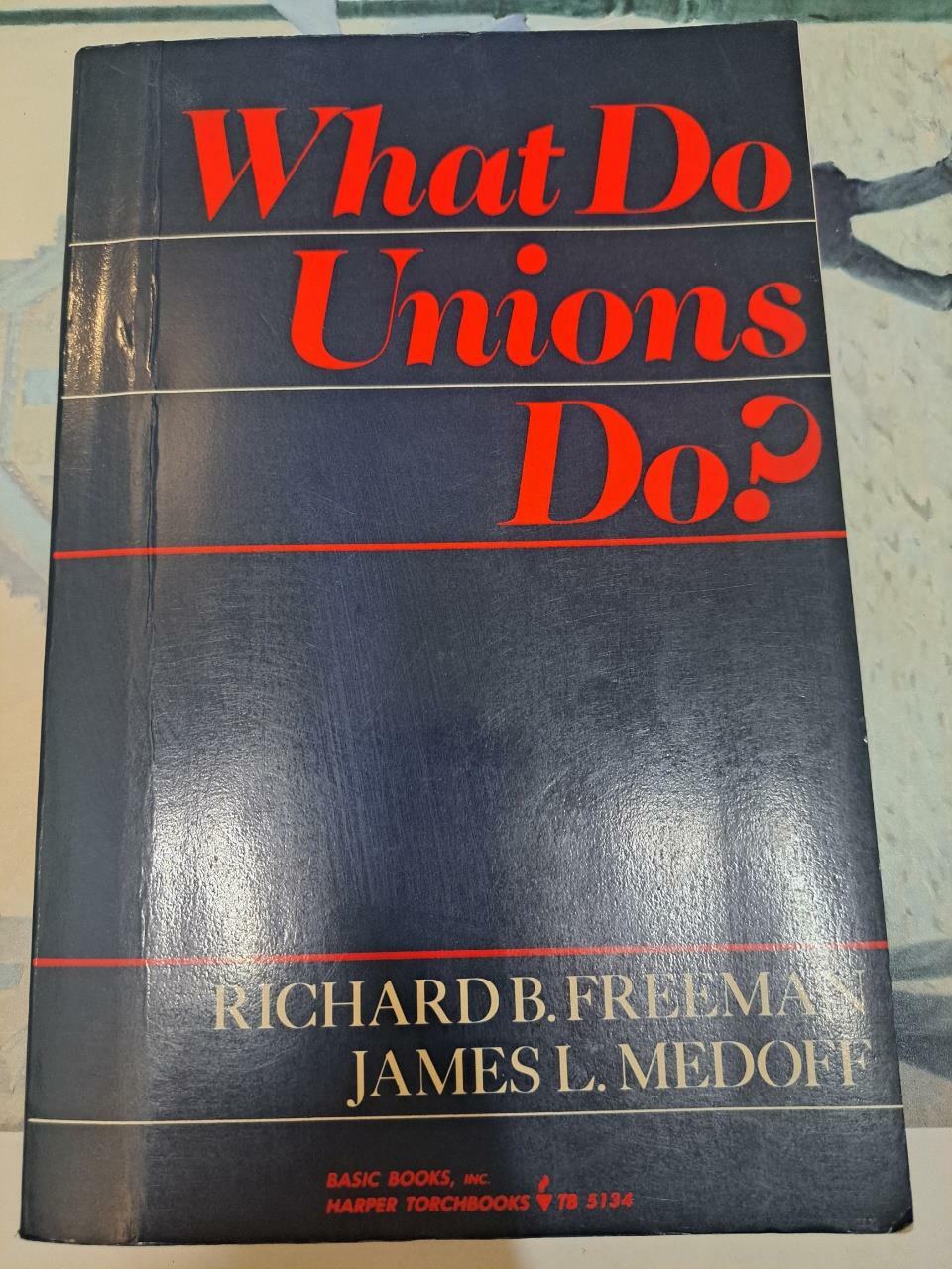 [중고] What Do Unions Do (Paperback)