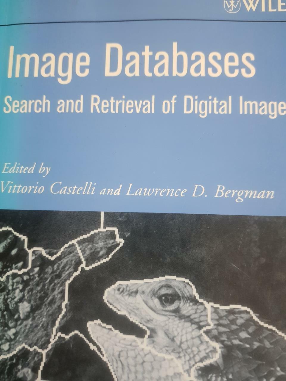 [중고] Image Databases: Search and Retrieval of Digital Imagery (Hardcover)