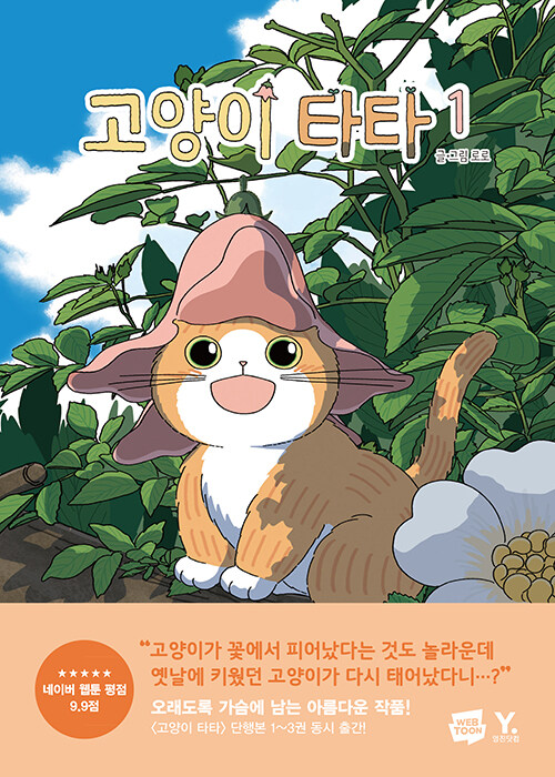 고양이 타타 1