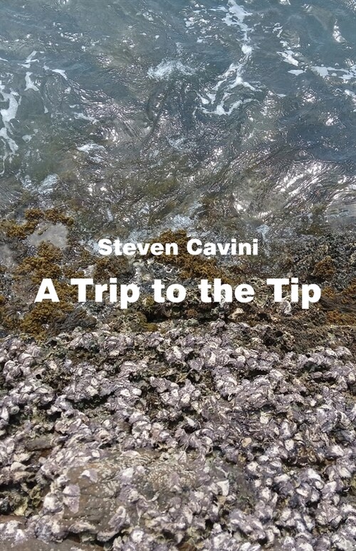 A Trip to the Tip (Paperback)