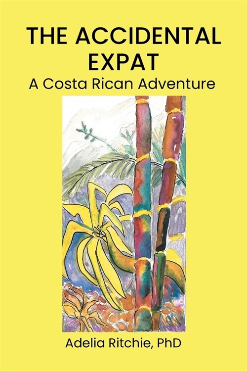 The Accidental Expat: A Costa Rican Adventure (Paperback)