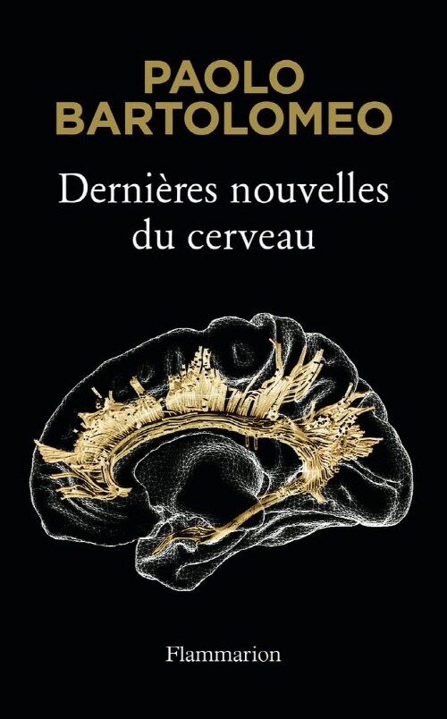 Dernieres nouvelles du cerveau (Paperback)