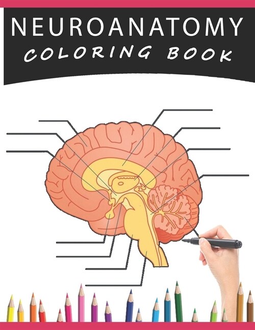 Neuroanatomy Coloring Book: A Human Brain Anatomy Coloring Pages for Adults, Neuroscience, Medical Students, Nurses (Paperback)