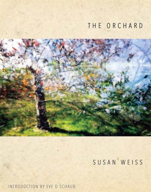 The Orchard (Paperback)