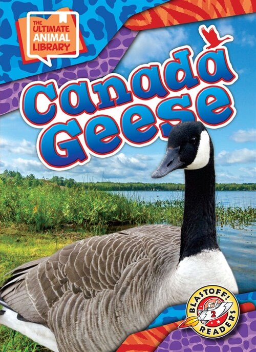 Canada Geese (Library Binding)