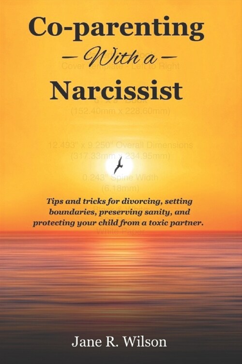 co-parenting with a narcissist.: Tips and tricks for divorcing, setting boundaries, preserving sanity, and protecting your child from a toxic partner (Paperback)