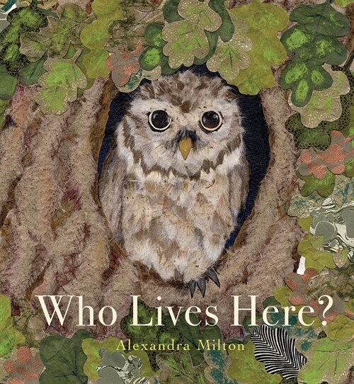 Who Lives Here? (Hardcover)