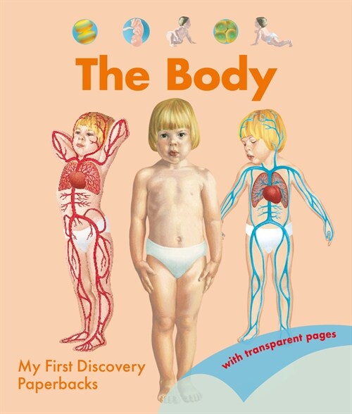 The Body (Paperback)