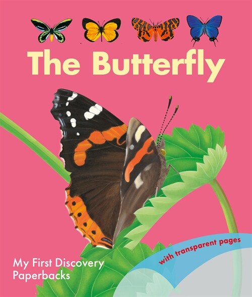 The Butterfly (Paperback)