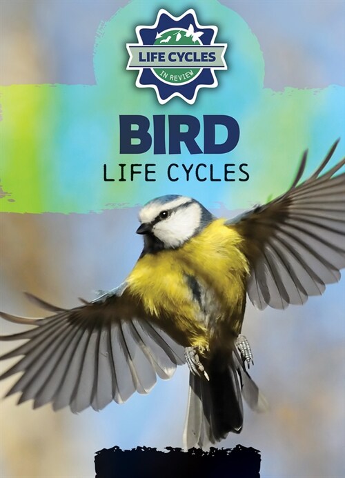 Bird Life Cycles (Library Binding)