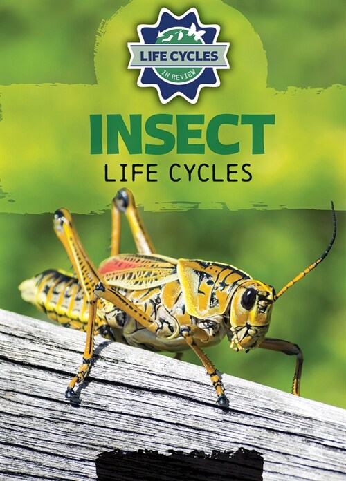 Insect Life Cycles (Library Binding)