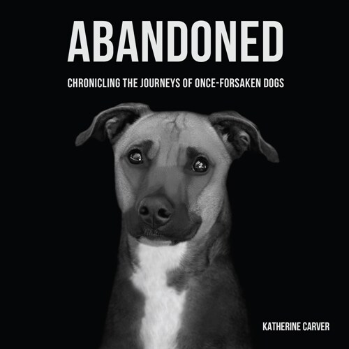 Abandoned: Chronicling the Journeys of Once-Forsaken Dogs (Hardcover)