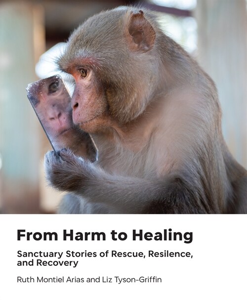 From Harm to Healing: Sanctuary Stories of Rescue, Resilience, and Recovery (Hardcover)