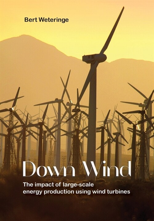 Down Wind (Paperback)