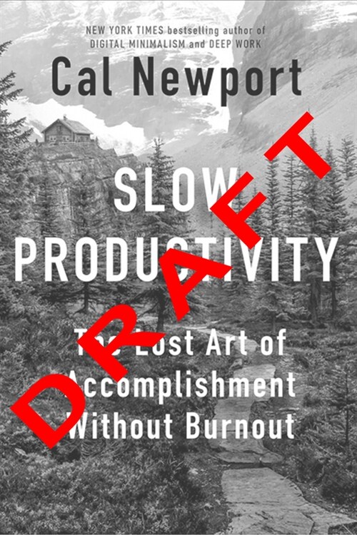 Slow Productivity (Slow Productivity Spanish Edition) (Paperback)
